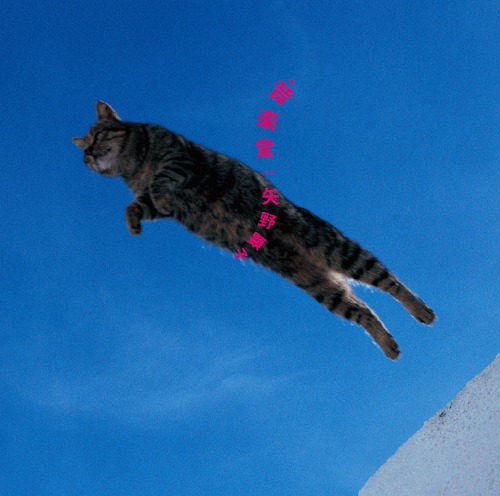 楽天市場】カネコアヤノ 日比谷野外音楽堂ワンマンショー 2023重量盤3