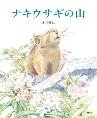 森の小さな〈ハンタ－〉たち 狩猟採集民の子どもの民族誌 Amazon.co.jp: 森の小さな〈ハンター〉たち―狩猟採集民の子ども