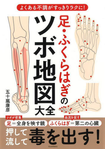 楽天市場】立体ポスター リフレクソロジー 足の反射療法 医学