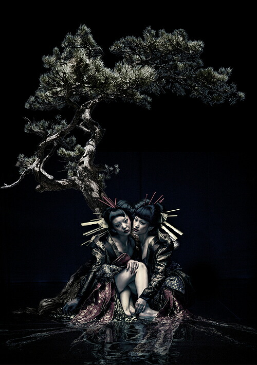 the GazettE LIVE TOUR 12-13【DIVISION】FINAL MELT LIVE AT 03.10 SAITAMA SUPER ARENA[Blu-ray] / the GazettE
