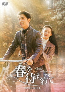春を待ちわびて～The sea in the dream～[DVD] DVD-BOX 1 / TVドラマ