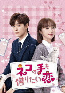ネコの手も借りたい恋[DVD] DVD-SET 2 / TVドラマ