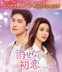 消せない初恋[DVD] BOX 2 〈コンプリート・シンプルDVD-BOX 5 500円シリーズ〉 [期間限定生産/廉価版] / TVドラマ