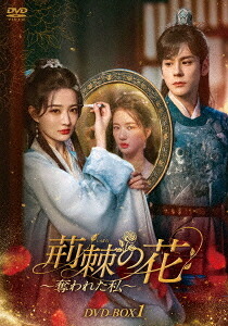 荊棘＜いばら＞の花～奪われた私～[DVD] DVD-BOX 1 / TVドラマ
