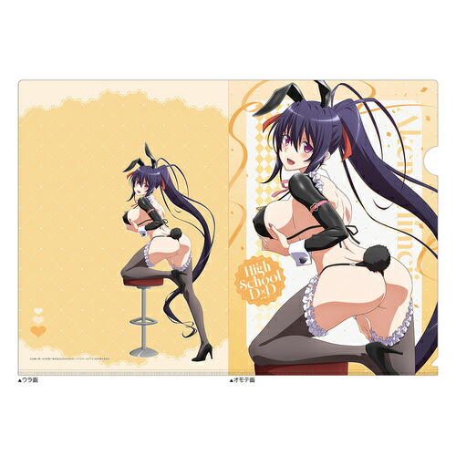 【カーテン魂】ハイスクールD×D HERO 描き下ろし クリアファイル (姫島朱乃 / 逆バニー (黒))【2026年5月発売】[グッズ]画像
