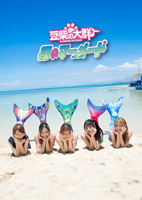 裸のマーメード[CD] [Blu-ray付初回生産限定盤] / 豆柴の大群｜ネオウィング 店