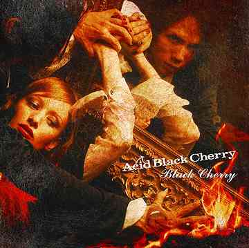 楽天市場】Black Cherry/Acid Black Cherry[CD]【返品種別A
