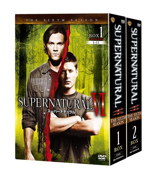 SUPERNATURAL VI ＜シックス・シーズン＞[DVD] コンプリート・ボックス / TVドラマ｜ネオウィング 店