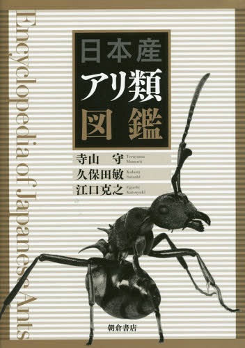 楽天市場】日本の鱗翅類 系統と多様性[本/雑誌] (単行本・ムック