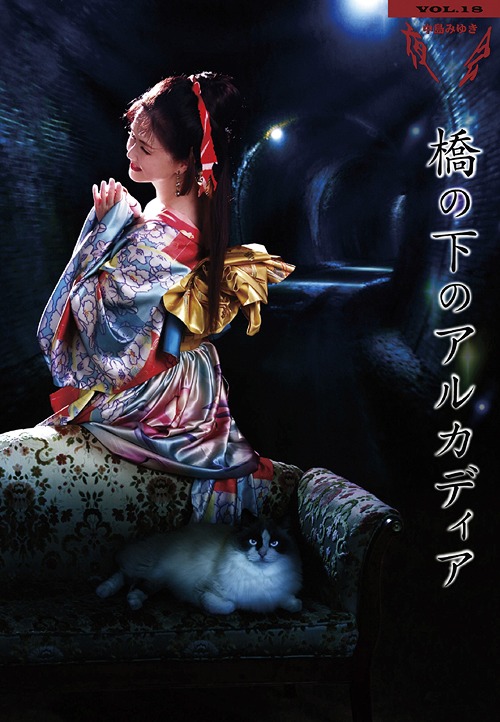 夜会[DVD] VOL.18 橋の下のアルカディア / 中島みゆき
