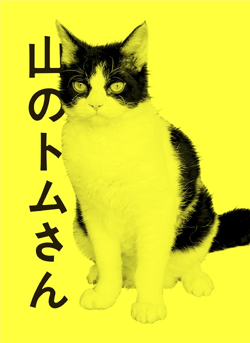 ドラマW「山のトムさん」[Blu-ray] Blu-ray BOX [2Blu-ray+CD] / TVドラマ 7,013円