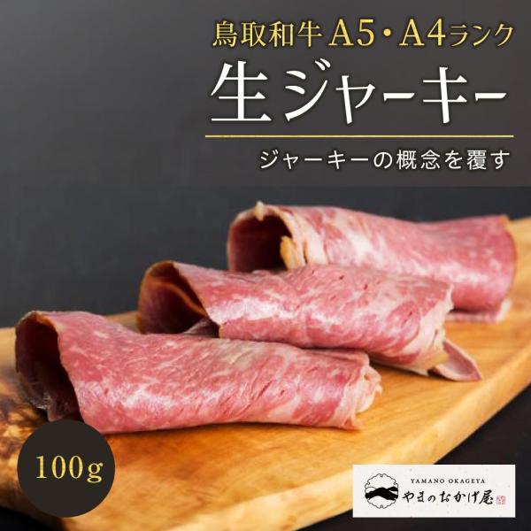 ビーフジャーキー 生 ジャーキー ビーフ 牛肉 鳥取 和牛 ギフト プレゼント100g 高級 鳥取県産 おつまみ 産地直送 送料無料（北海道・沖縄を除く）