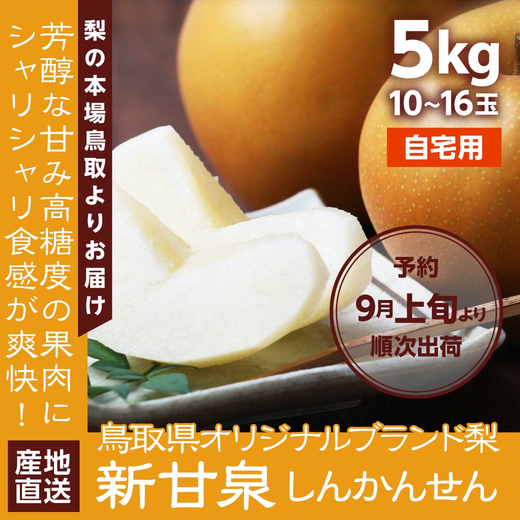 市場 地元生産者応援企画 梨 産地直送 5kg 訳あり 10~16玉入 しんかんせん 鳥取県産 新甘泉