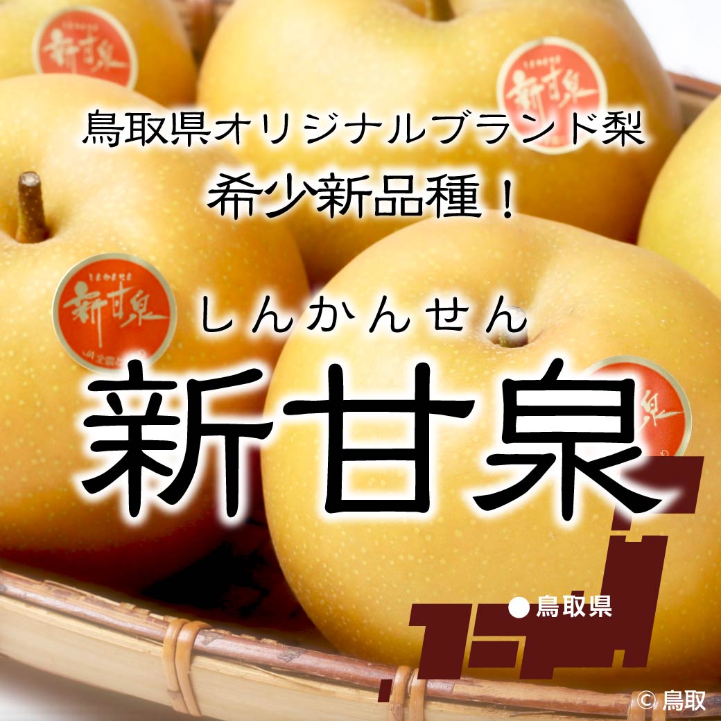 市場 地元生産者応援企画 3kg 新甘泉 梨 産地直送 6 9玉入 鳥取県産 しんかんせん