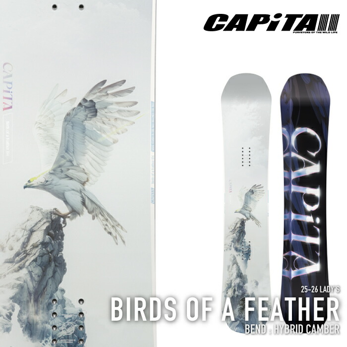 CAPITA Birds of a Feather スノーボード CAPiTA Birds of a Feather Snowboard - Women's 2022 — Ski Company