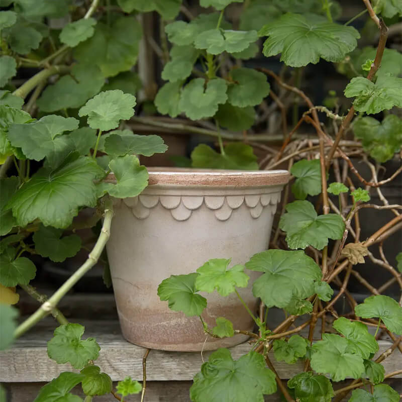 北欧 おしゃれ 植木鉢 Bergs Potter ナチュラル Copenhagen 素焼き