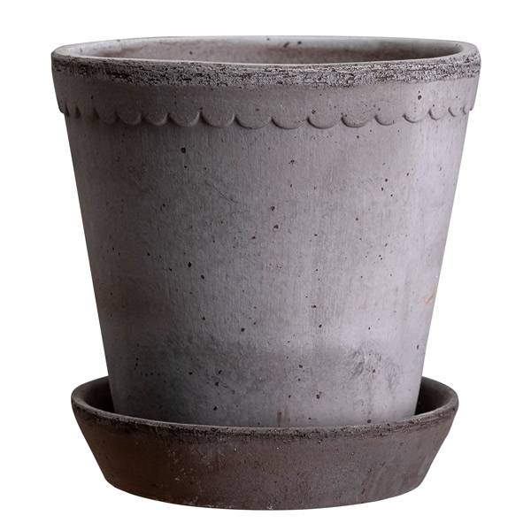 楽天市場】Bergs Potter 植木鉢 Daisy グレー φ25cm 受け皿付き 素焼き