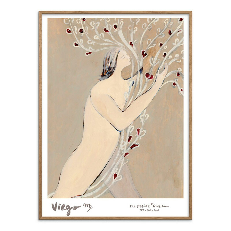 楽天市場】デンマーク THE POSTER CLUB みずがめ座 ポスター 30x40cm