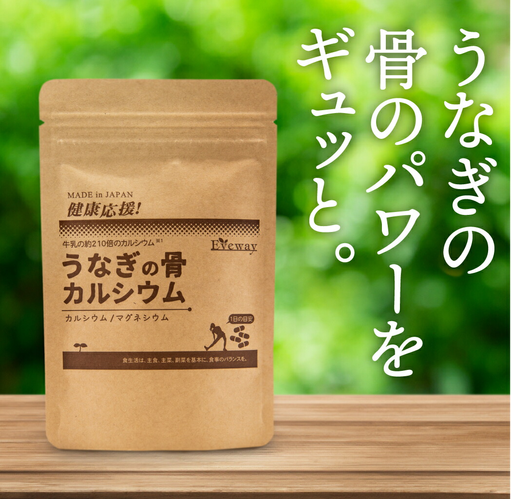 文芸批評服従で次回10%オフ