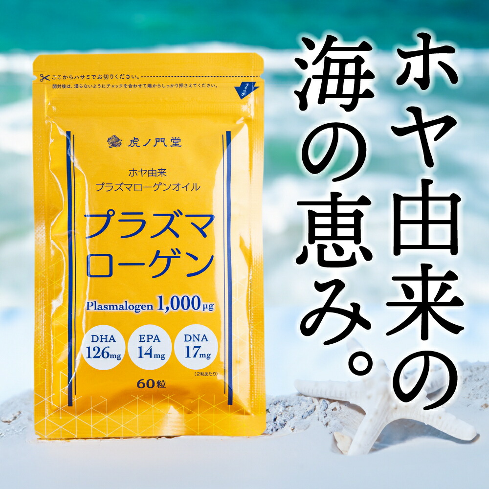 文芸批評服従で次回10%オフ