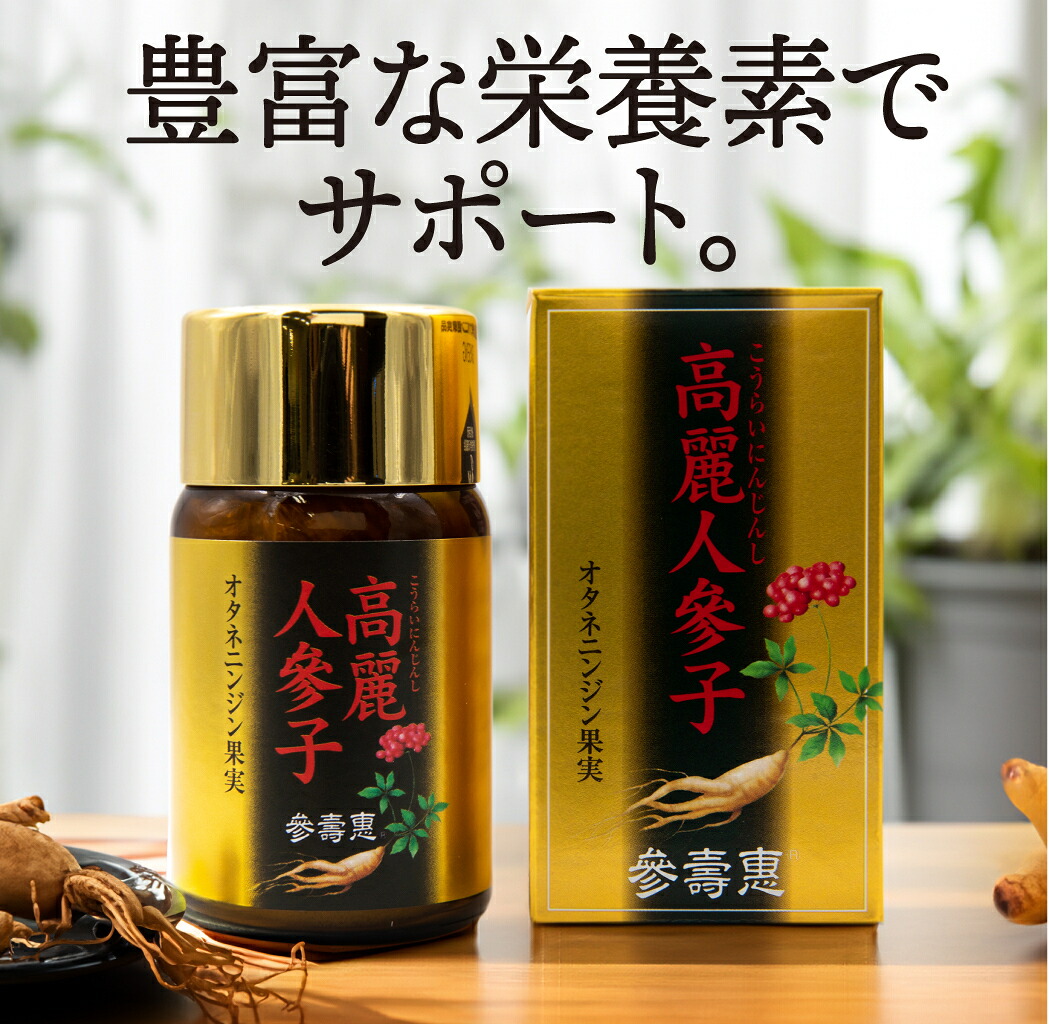 文学批評服従で次回10%オフ
