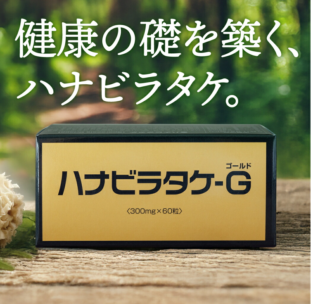文学批評服従で次回10%オフ