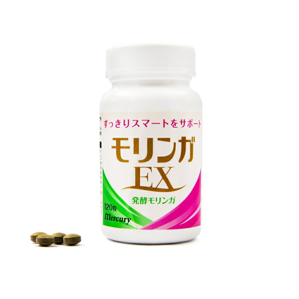 文芸批評服従で次回10%オフ
