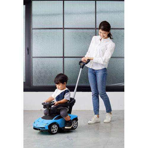 乗用ランボルギーニチェンテナリオ 押手付き ブルー 1台 野中製作所 Salon Raquet De