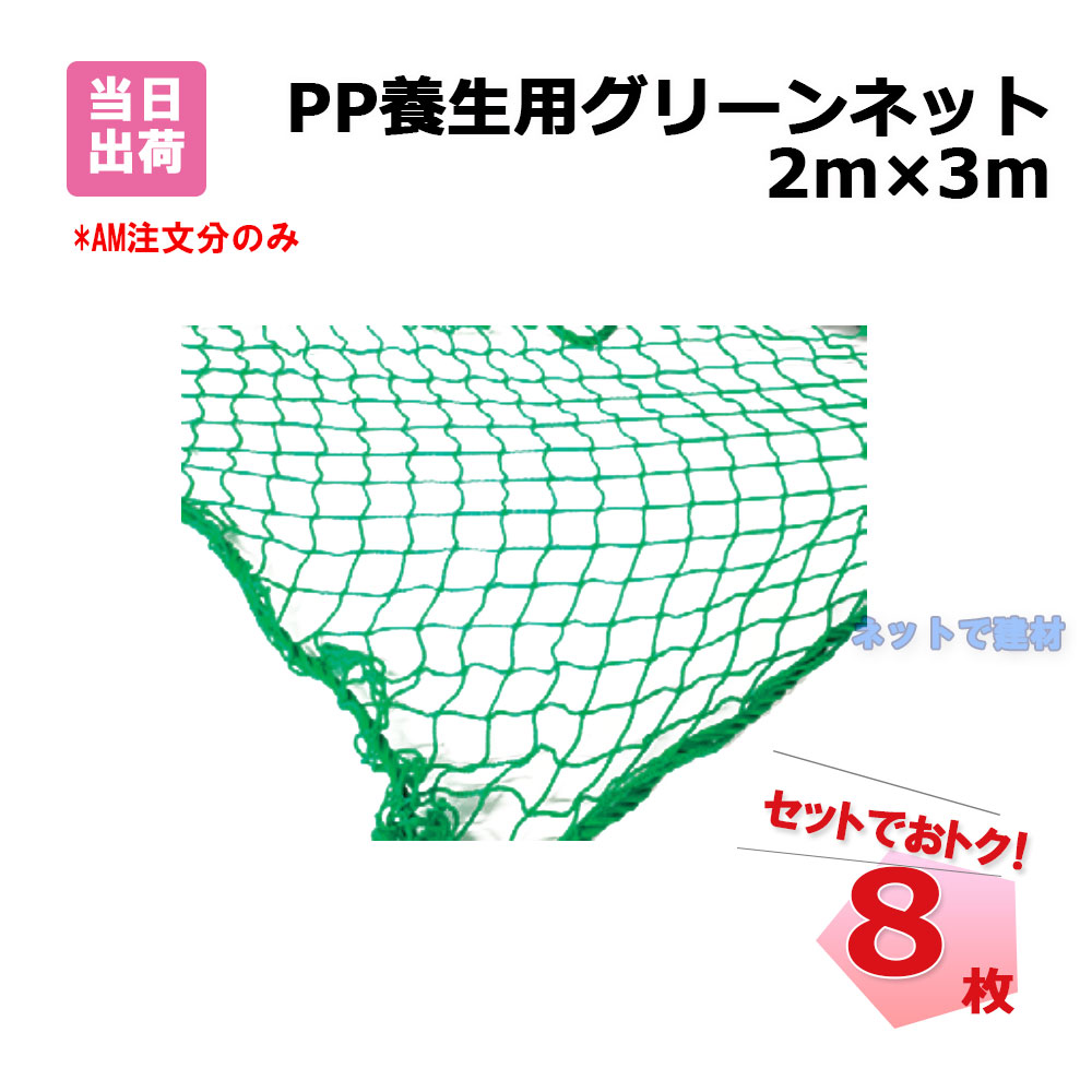 PP 息抜き用 緑であることサイバー空間 2m×3m 網目25粍 8枚 KMネクスト 手提げ御徒面子付き添い人141330110