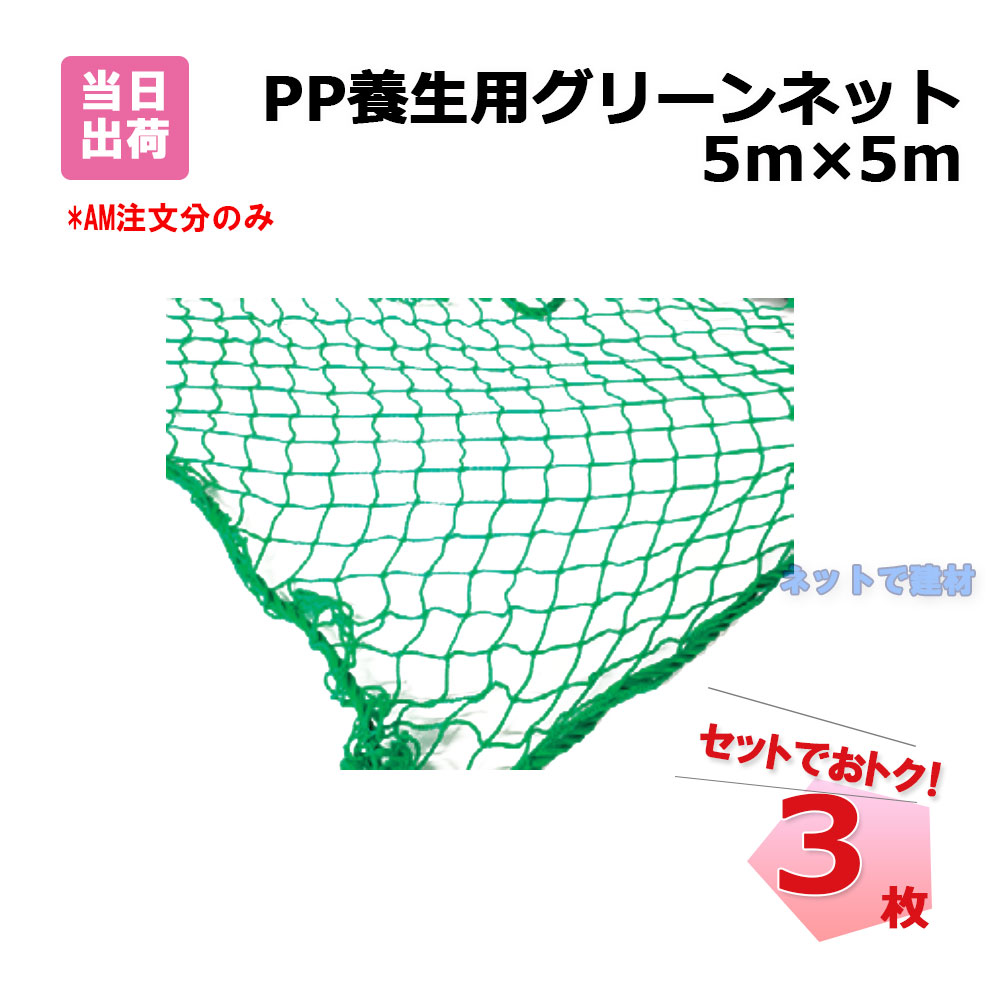 PP せっ生用 緑であることサイバー空間 5m×5m 網目25粍 3枚 KMネクスト 手提げ御徒面子付き添い人 141330130