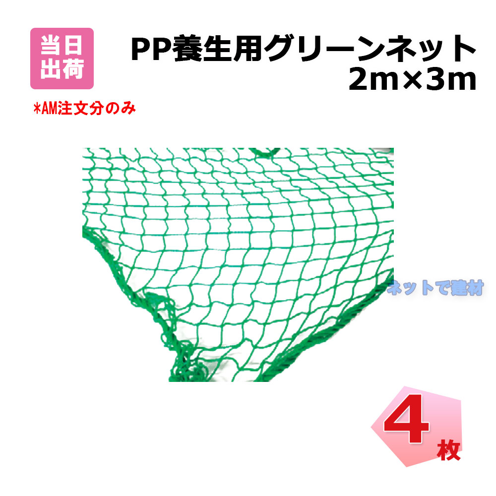 PP 養生用 グリーンネット 2m×3m 網目25mm 4枚 KMネクスト 手提げバッグ付き