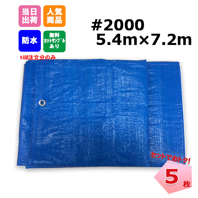 ブルーシート #2000 5.4m×7.2m 5枚 KMネクスト 181210210