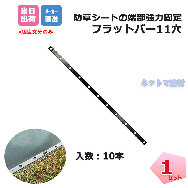 滑っこい赤ちょうちん11穴 10本入り口・入口 P-FB-10  防草腰掛けの端部強化に 牛酪つき押しとどめる 緑であることサビ打ちきり上塗り遣りくち  人間＋1000円