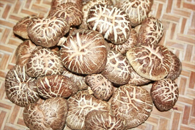 大分県産 乾燥椎茸（どんこ）200g（100g×２袋）<br>国産原木 しいたけ 天日干し シイタケ エアブロー （北海道・沖縄・離島は配送不可）