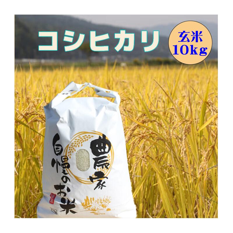 令和7年度 大分県産 新米 予約 コシヒカリ 玄米 10kg