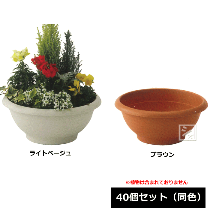 楽天市場 法人配送限定 アイカ ユーロボール 370号型 40個セット 同色 全3色 直径37 高さ16 5cm R ねっとんや