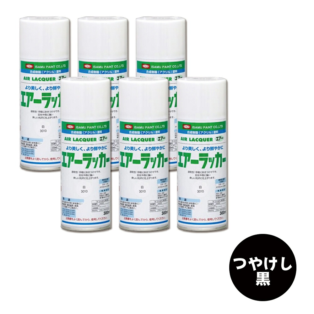 イサム塗料 622-3502-8 1液型アクリルエアラッカー 無光沢黒 300ml×6本 取寄