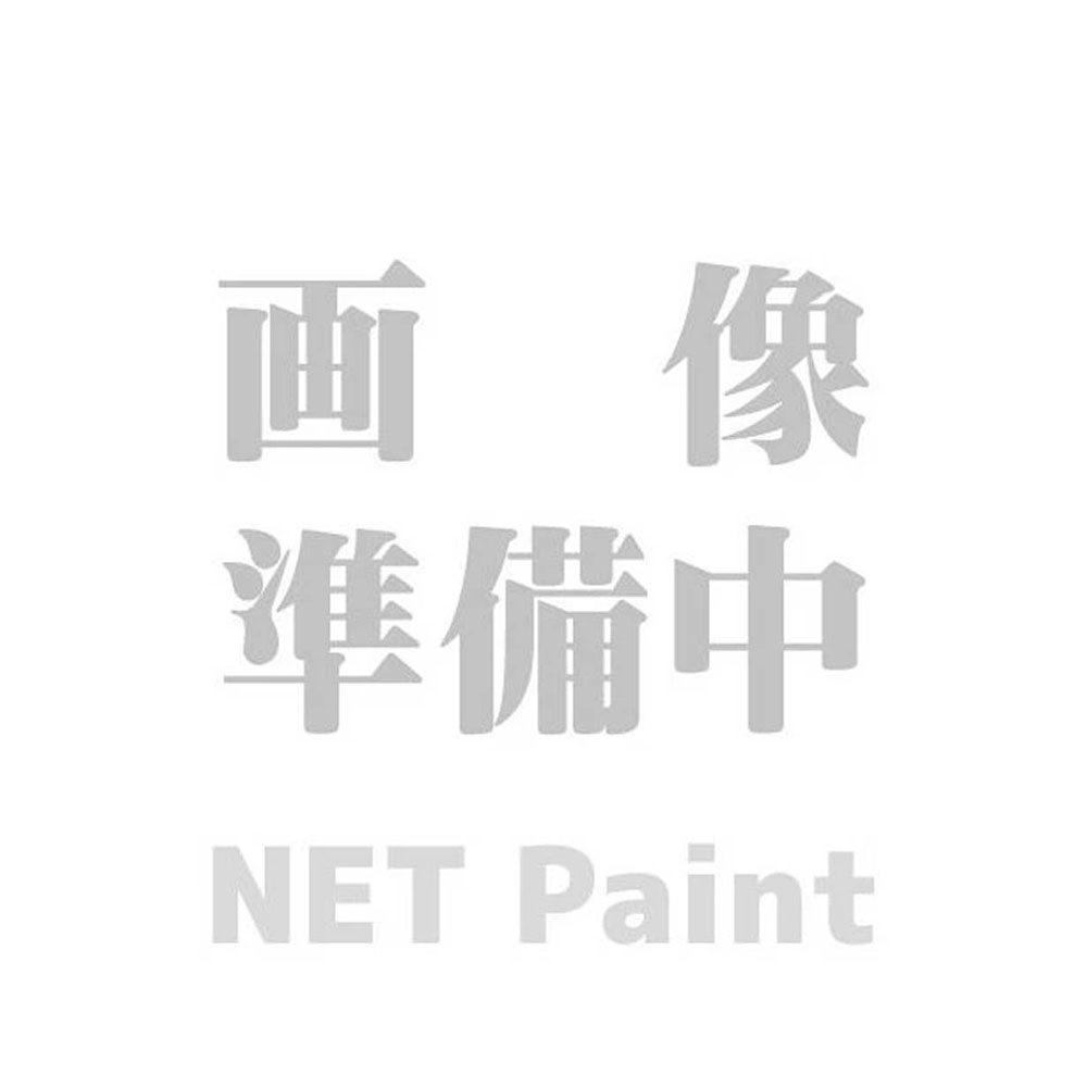 関西ペイント 294-006 2石エコクリーナー 4L 取寄