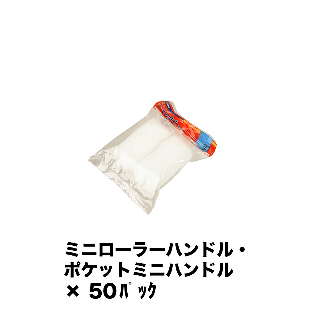 大塚毛はらい ミニ巻き MICRO EIGHT 18粍 2本入 3MS-ME18 ×50風呂敷き包み 160265 1803 取寄