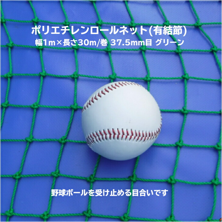 お買い得 バッティングネット 37.5mm目合い 2m×30m 防球 防獣ネット 防護ネット fucoa.cl