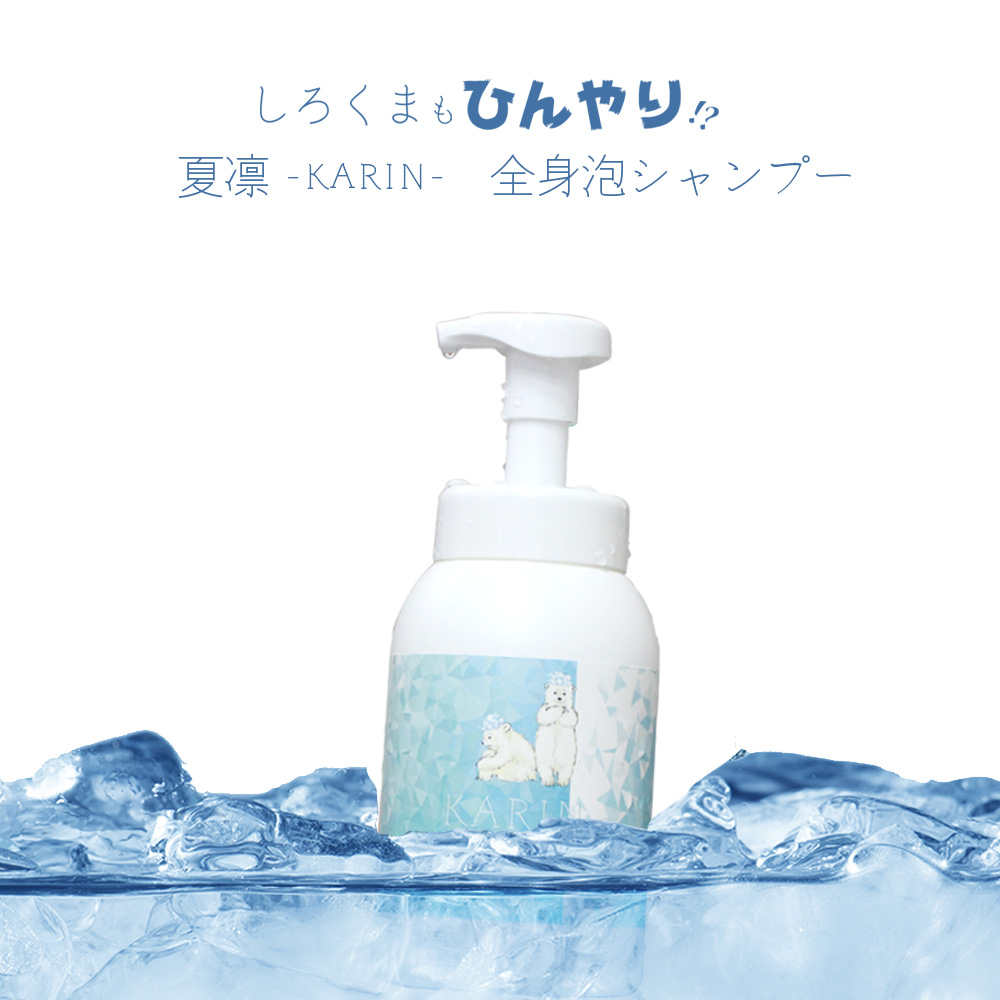 楽天市場】（廃盤）[ クールシャンプー セット ] セフティ 夏