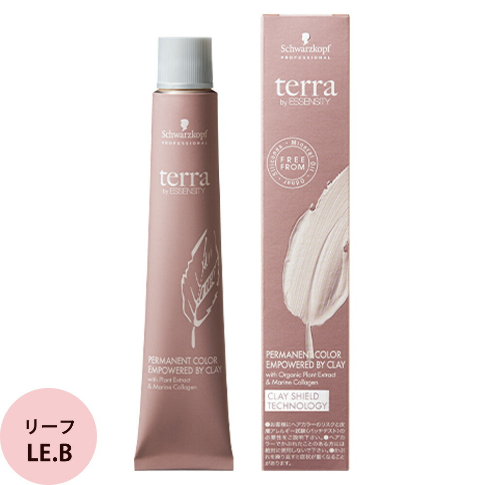 42本セット シュワルツコフ テラ terra カラーリング1剤 楽天市場】シュワルツコフ テラ byエッセンシティ グレイ