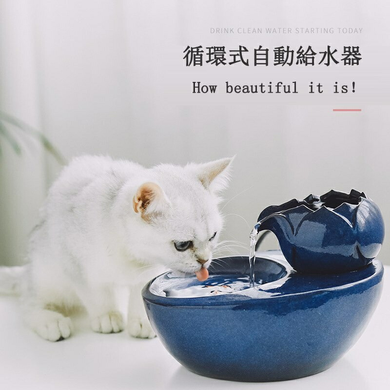 PetSafe自動給水器 ドリンクウェル アバロン セラミックペットファウンテン Amazon | PetSafe（ペットセーフ）自動給水器 犬 猫 ドリンク