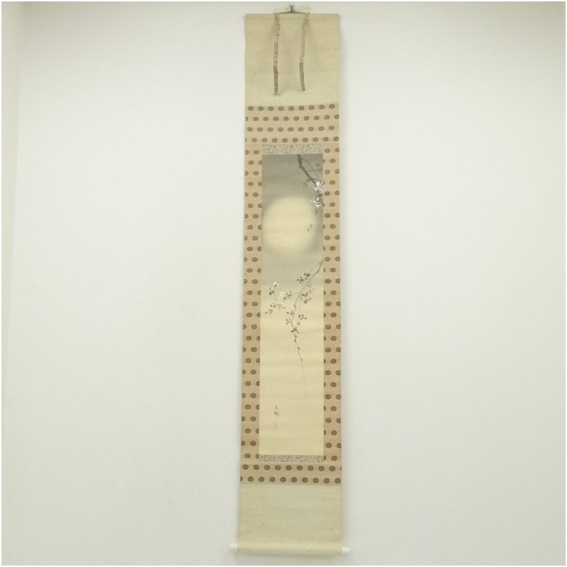 【中古】【書画】今井景樹筆　月に夜桜　肉筆絹本掛軸（共箱）掛け軸 床の間 書 おしゃれ 絵画 表具 芸術 茶道 年中掛け インテリア 茶掛 掛物 和室 4月 春