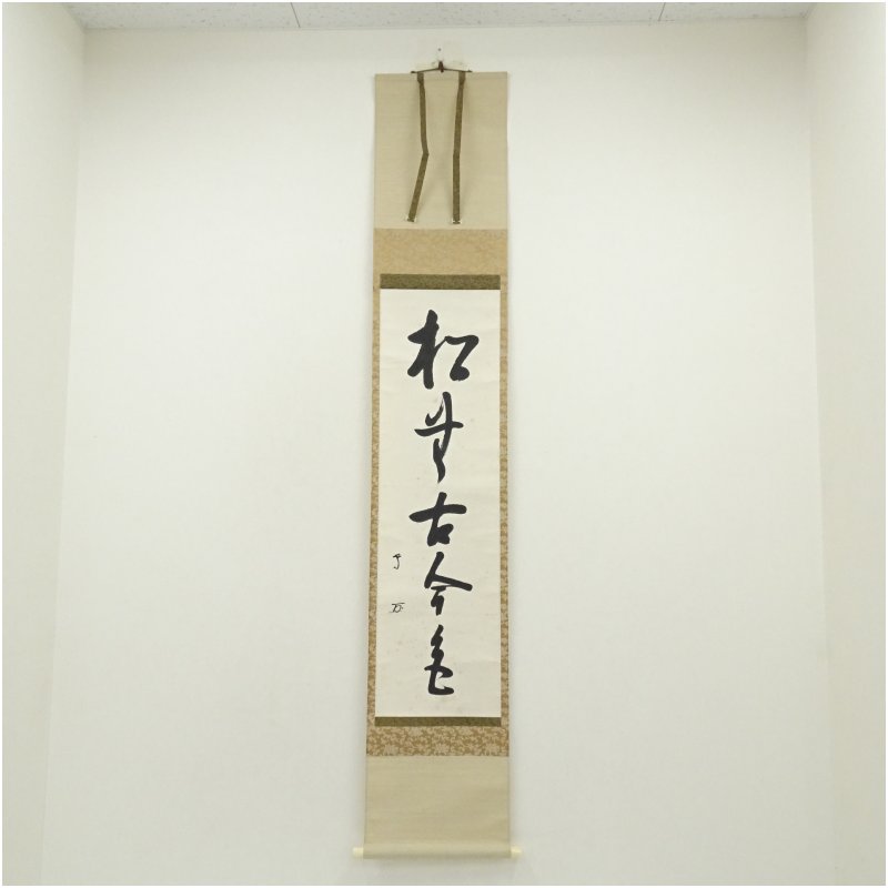 【中古】【書画】武者小路千家　十三代　有隣斎筆　「松無古今色」一行書　肉筆紙本掛軸（保護箱） 掛け軸 床の間 書 おしゃれ 絵画 表具 芸術 茶道 年中掛け インテリア 茶掛 掛物 和室 1月 11月 秋