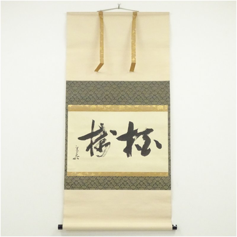 【中古】【書画】堀内家十二代　宗完　兼中斎筆　「柏樹」横物　肉筆紙本掛軸（保護箱） 掛け軸 床の間 書 おしゃれ 絵画 表具 芸術 茶道 年中掛け インテリア 茶掛 掛物 和室