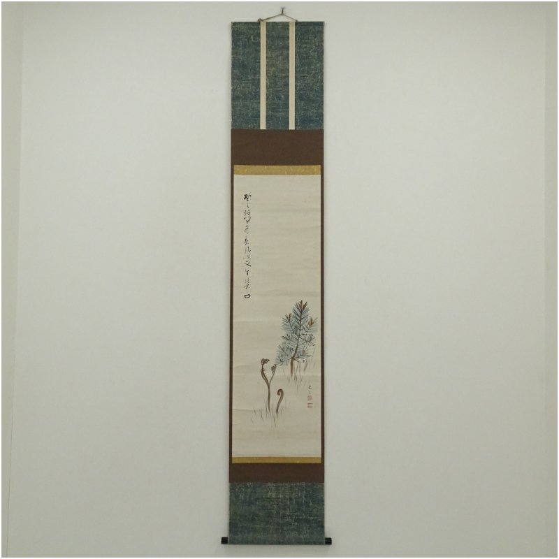 【中古】【書画】一条悦子筆　稚松図　大徳寺　円山伝衣賛　肉筆紙本掛軸（大徳寺　上田義山識箱） 掛け軸 床の間 書 おしゃれ 絵画 表具 芸術 茶道 年中掛け インテリア 茶掛 掛物 和室 21,900円