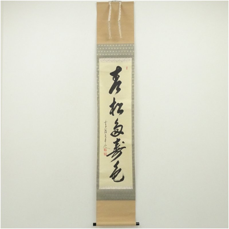 【中古】【書画】前大徳　大橋香林筆　「青松多寿色」一行書　肉筆紙本掛軸（共箱） 掛け軸 床の間 書 おしゃれ 絵画 表具 芸術 茶道 年中掛け インテリア 茶掛 掛物 和室 1月 3月 春冬