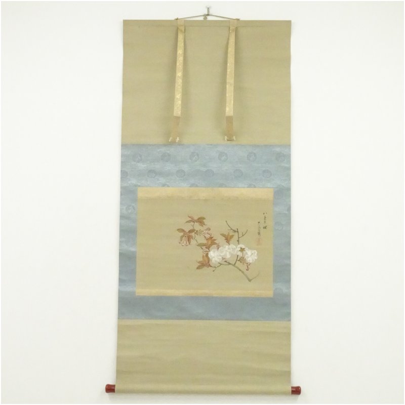 【中古】【書画】広瀬花隠筆 八重単桜 肉筆絹本掛軸(保護箱) 掛け軸 床の間 書 おしゃれ 絵画 表具 芸術 茶道 年中掛け インテリア 茶掛 掛物 和室|茶道具・掛軸のショップつなぐ
