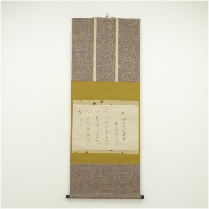 【中古】【書画】税所敦子筆　「松不改色歌」　肉筆紙本掛軸 掛け軸 床の間 書 おしゃれ 絵画 表具 芸術 茶道 年中掛け インテリア 茶掛 掛物 和室｜茶道具・掛軸のショップつなぐ 7,000円